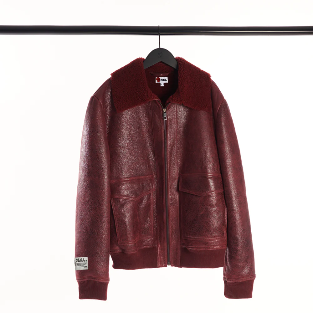 Classic Logo Shearling Collar Aviator Jacket - Image 2