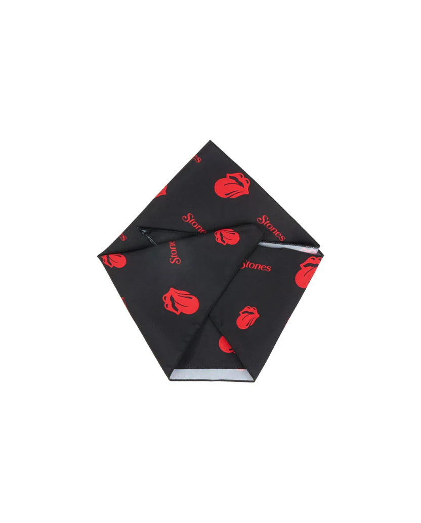 Classic Logos Stones Dog Bandana - Image 2