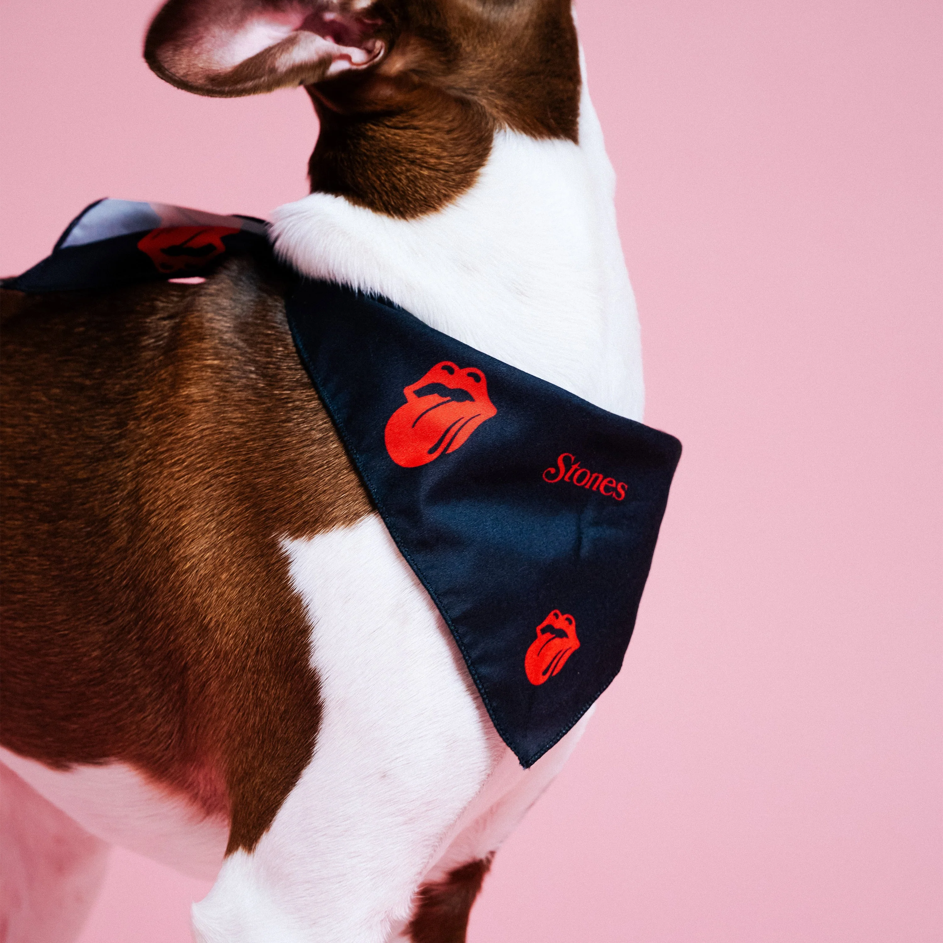 Classic Logos Stones Dog Bandana - Image 5